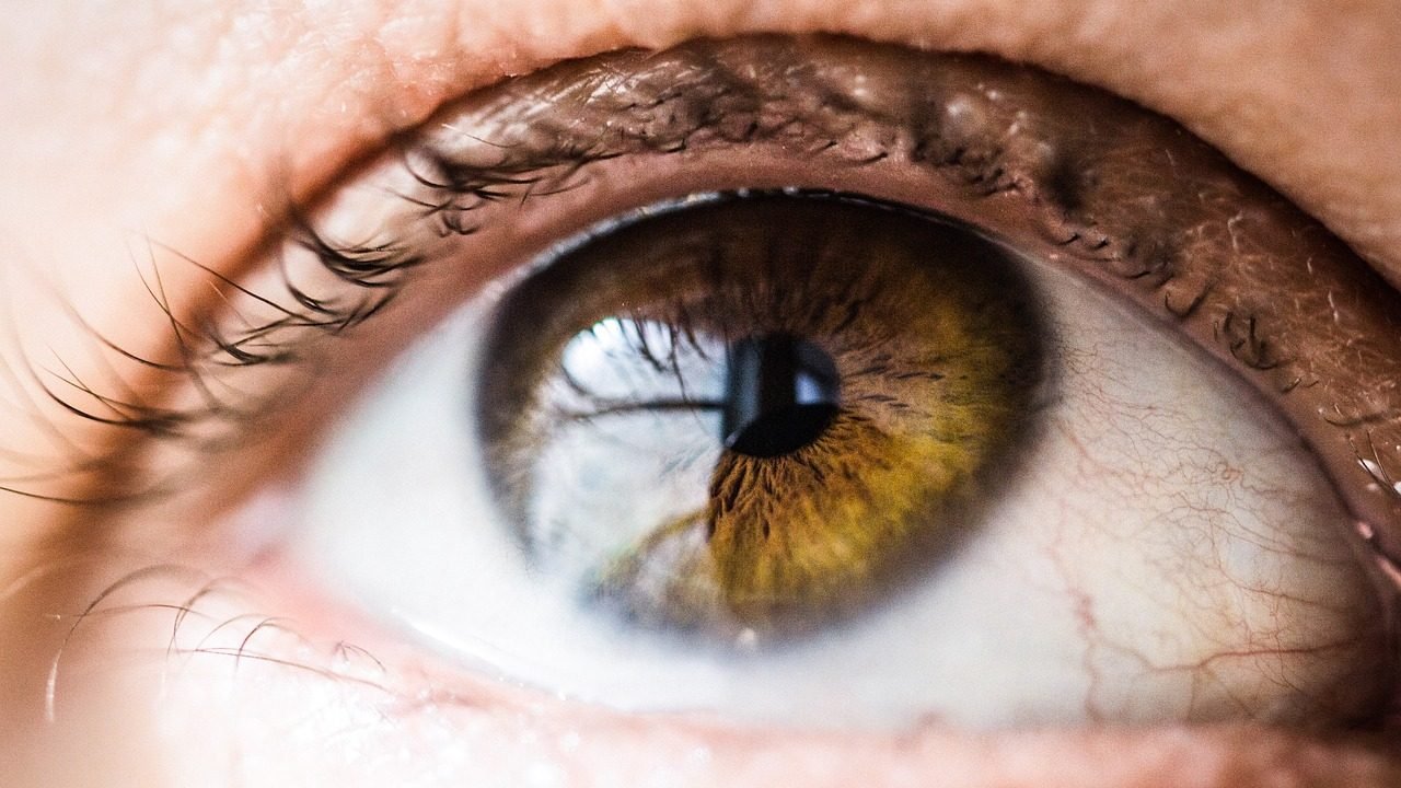 What is Iris Recognition and How Does it Work? How iris recognition works